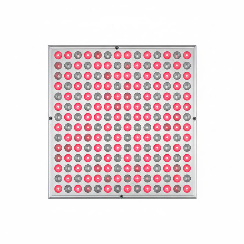 LED Infrared Beauty Light